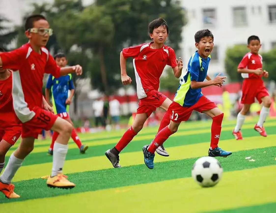 桑德兰VS曼联直播_桑德兰VS曼联免费在线高清直播_桑德兰VS曼联视频在线观看无插件